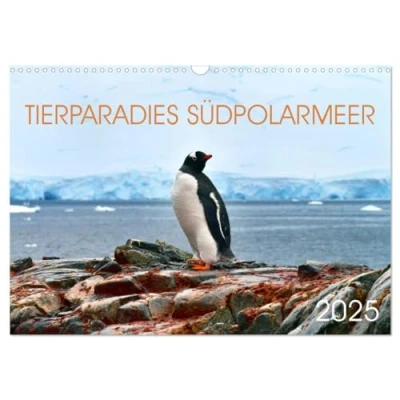 Abbildung von Tierparadies Südpolarmeer (Wandkalender 2025 DIN A3 quer), CALVENDO Monatskalender