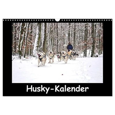 Abbildung von Husky Kalender (Wandkalender 2025 DIN A3 quer), CALVENDO Monatskalender