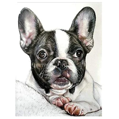 Abbildung von DIY 5D Diamond Painting Set Malen nach Zahlen Französische Bulldogge Full Diamant Bilder Kit für Erwachsene,Kristall Strass Stickerei Kreuzstich Art Home Canvas Wall Decor 40x50cm/16x20in