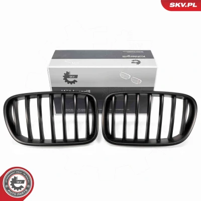Abbildung von ESEN SKV 66SKV249 Kühlergrill schwarz matt BMW: X3, X4