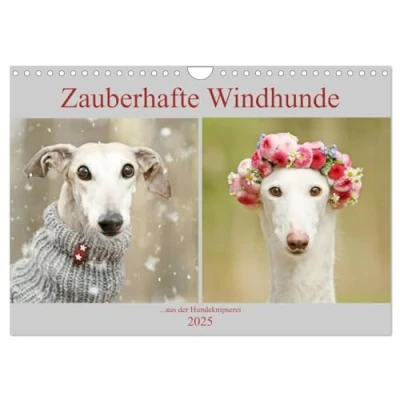 Abbildung von Zauberhafte Windhunde (Wandkalender 2025 DIN A4 quer), CALVENDO Monatskalender