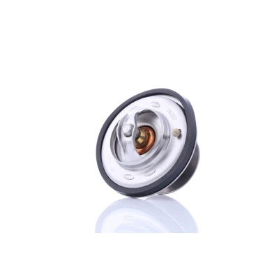 Abbildung von FEBI BILSTEIN 09675 Kühlwasserthermostat 75 mit Dichtring MERCEDES BENZ: SL Cabrio, S Klasse Limousine, Coupe