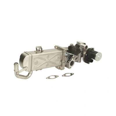 Abbildung von ENGITECH ENT500100 AGR Modul VOLKSWAGEN: Touran I, Tiguan SEAT: Alhambra II, SKODA: Octavia 2 Combi