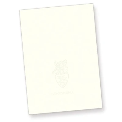 Abbildung von 250 Blatt Gohrsmühle Briefpapier mit Wasserzeichen edel hochwertig, DIN A4, 90 g/qm, naturweiß