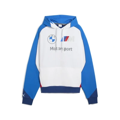 Abbildung von Puma Kapuzenpullover Pro bluem color, Herren, Größe: Medium, blue m color