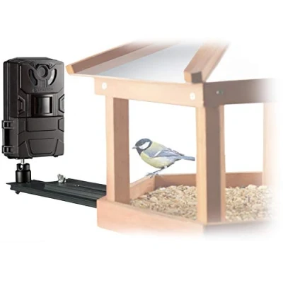 Abbildung von Bresser Vogel Kleintier Kamera SFC 1 Überwachungskamera für heimische Vögel oder andere Kleintiere mit Bewegungssensor Fotos und Videos in Full HD Qualität