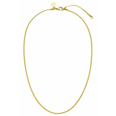 Abbildung von Purelei Sleeky Halskette, Damen, Größe: One Size, Goldfarben
