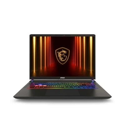 Abbildung von Vector 16 HX AI A2XWIG 293, Gaming Notebook