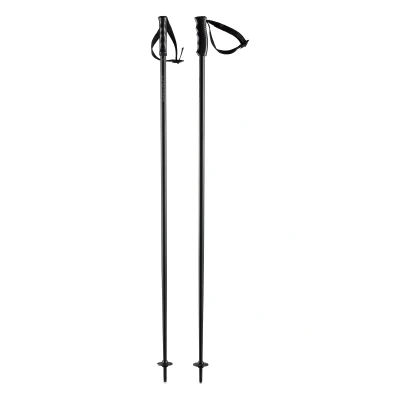 Abbildung von HEAD Unisex Adult Multi Skistöcke, schwarz, 125