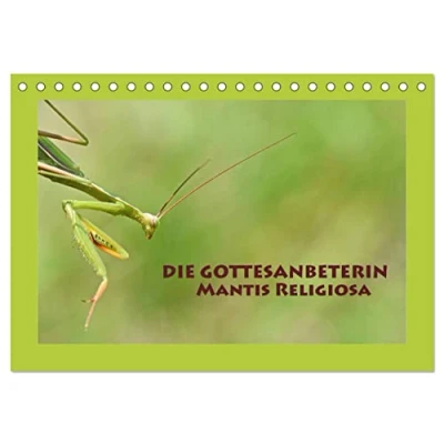 Abbildung von Die Gottesanbeterin Mantis Religiosa (Tischkalender 2025 DIN A5 quer), CALVENDO Monatskalender