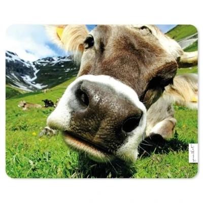 Abbildung von younikat Mauspad mit Kuh Motiv I 24 x 19 cm Mousepad in Standard Größe Qualitätsdruck auf Zellkautschuk rutschfest wasserabweisend und abwischbar dv_1244