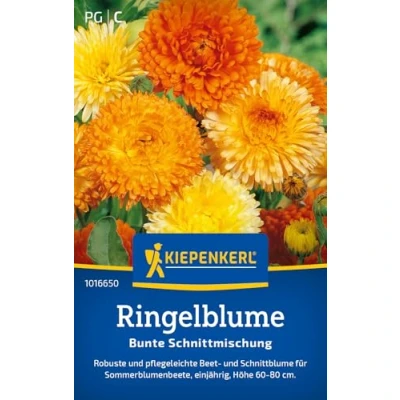 Abbildung von Kiepenkerl Ringelblumensamen Bunte Schnittmischung 1016650 Blumensamen Mischung für eine Beet und Schnittblume Inhalt 80 Pflanzen Saatgut