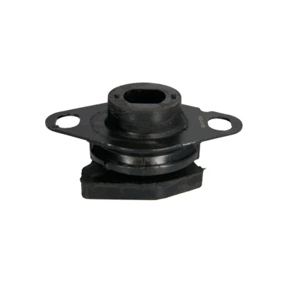 Abbildung von Motorträger REINHOCH RH11 2007 Links