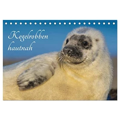 Abbildung von Kegelrobben hautnah (Tischkalender 2025 DIN A5 quer), CALVENDO Monatskalender
