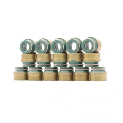 Abbildung von REINZ 12 26058 03 Dichtungssatz, Ventilschaft VOLKSWAGEN: Passat B3/B4 Limousine, GOLF 3, 2, FIAT: Idea, Coupe, Stilo Schrägheck, AUDI: A8 D2, V8