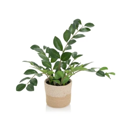 Abbildung von hjh OFFICE Kunstpflanze ZAMIE Höhe 50 cm Grün Deko Zamioculcas Zimmerpflanze Glücksfeder künstlich, 871008