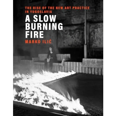 Abbildung von A Slow Burning Fire: the Rise of New Art Practice in Yugoslavia