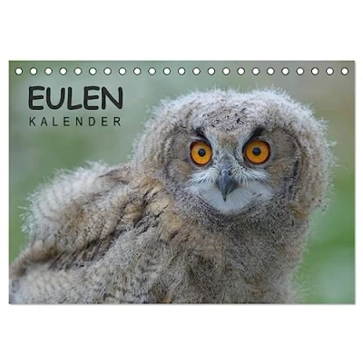 Abbildung von Eulen Kalender (Tischkalender 2025 DIN A5 quer), CALVENDO Monatskalender