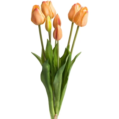 Abbildung von my home Kunstpflanze &quot;Maiva&quot;, Tulpenbündel im 7er Set