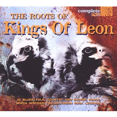 Abbildung von The Roots of Kings Leon