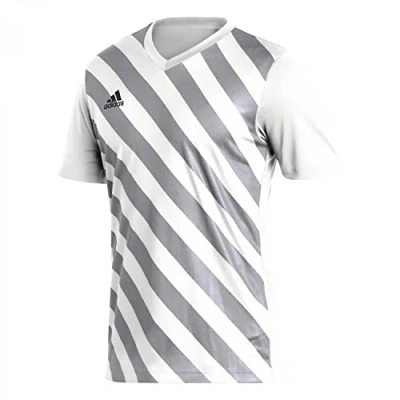 Abbildung von adidas Performance Entrada 22 GFX FußballTrikot, Herren, Größe: Small, White/light grey