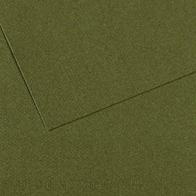 Abbildung von Canson Mi Teintes Papel de Color Pulpa Teñida, 160 g/m2, Verde (Ivy 448), 29,7x62, Pack 10