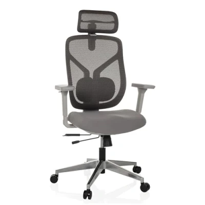 Abbildung von hjh OFFICE Bürostuhl ergonomisch CASSILIS W Netz Drehstuhl, Verstellbare Rückenlehne mit Lendenstütze, Körpergröße bis 220 cm, Grau