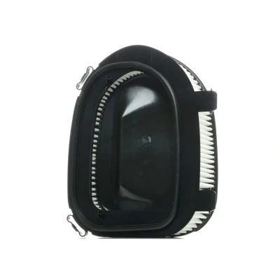 Abbildung von RIDEX 8A0276 Luftfilter 101 292 352 Filtereinsatz BMW: X5, X6, X3