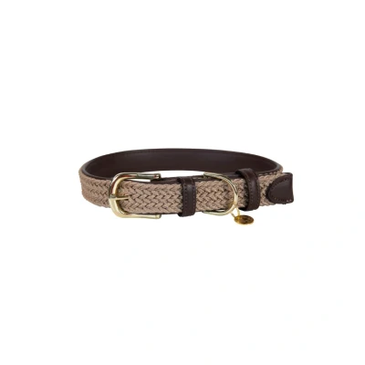 Abbildung von Kentucky geflochtenes Nylon Halsband