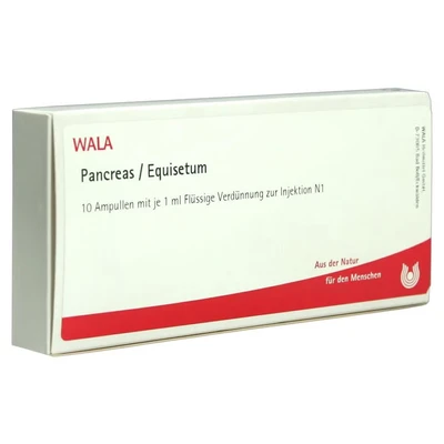 Abbildung von Pancreas/equisetum Ampullen 10X1 ml
