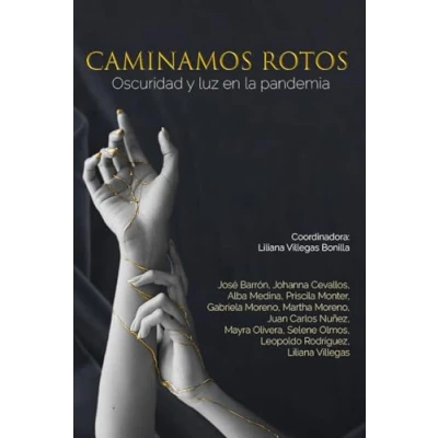 Abbildung von Caminamos Rotos: Oscuridad y luz en la pandemia