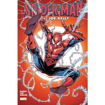 Abbildung von SPIDER man BY JOE KELLY OMNIBUS KEN LASHLEY COVER (Spider Omnibus)