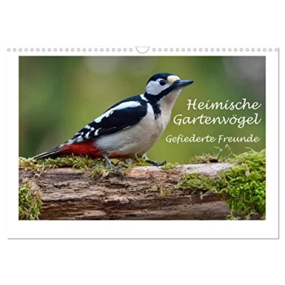 Abbildung von Heimische Gartenvögel Gefiederte Freunde (Wandkalender 2025 DIN A3 quer), CALVENDO Monatskalender