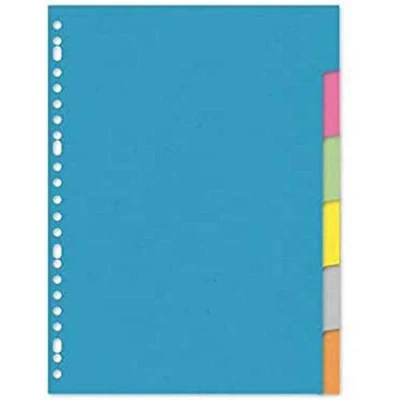 Abbildung von Register Kangaro A4 blanko recycled karton 220gr 23r. 6tlg ass
