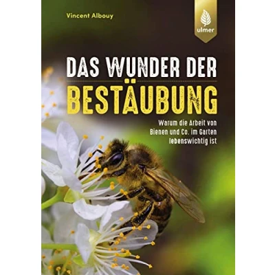 Abbildung von Das Wunder der Bestäubung: Warum die Arbeit von Bienen und Co. im Garten lebenswichtig ist