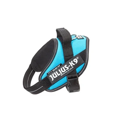 Abbildung von Julius K9 IDC sele, str.: Mini Mini, Aquamarine 40 53 cm