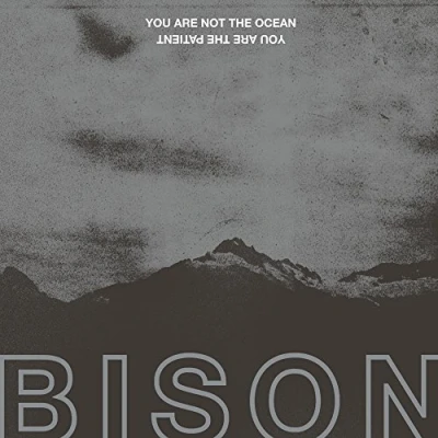 Abbildung von You Are Not the Ocean Patient [Vinyl LP]