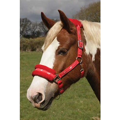 Abbildung von Rhinegold Unisex Erwachsene Logo Headcollar Fleece Trim Shetland Red Halfter, rot