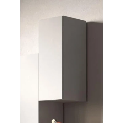 Abbildung von INOSIGN Hängevitrine &quot;Infinity Breite 29 cm, Höhe 69 Hängeschrank mit 1 Tür,&quot;, Wandschrank senkrecht zu hängen, verschiedene Farben