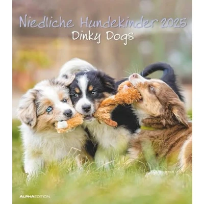 Abbildung von Alpha Edition Niedliche Hundekinder 2025 Bildkalender, 30x40cm, Kalender mit hochwertigen Motive, Mondphasen, Kalenderwochen, Ferientermine DE/AT/CH und deutsches Kalendarium: Dinky Dogs