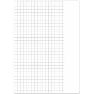 Abbildung von Format X Schulheft A4 Lineatur 26 kariert mit Rand 16 Blatt