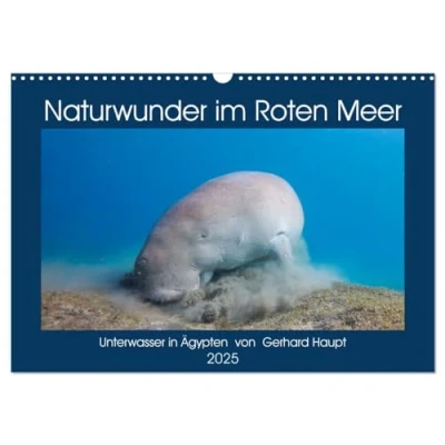 Abbildung von Naturwunder im Roten Meer (Wandkalender 2025 DIN A3 quer), CALVENDO Monatskalender
