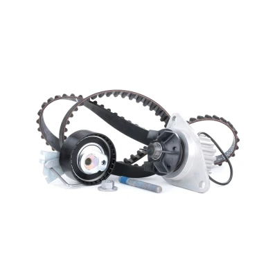 Abbildung von INA 530 0335 30 Wasserpumpe + Zahnriemensatz mit PEUGEOT: 206 Schrägheck, 207 206+ CITROËN: C2 Schrägheck