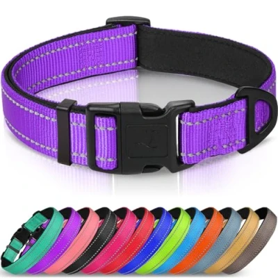 Abbildung von Joytale Halsband Hund, Gepolstertes Hundehalsband Breit aus Neopren Nylon Verstellbar für Welpen, Weich und Reflektierend Hundehalsbänder, XS, Lila