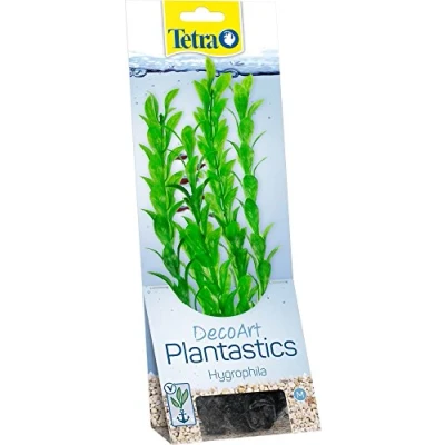 Abbildung von TETRA Hygrophila M.