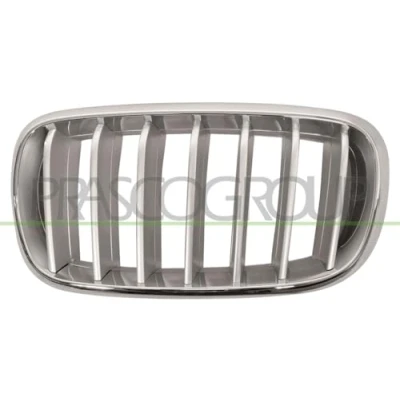 Abbildung von BLIC 6502 07 00969955P Kühlergrill vorne links titan, chrom BMW: X5, X6