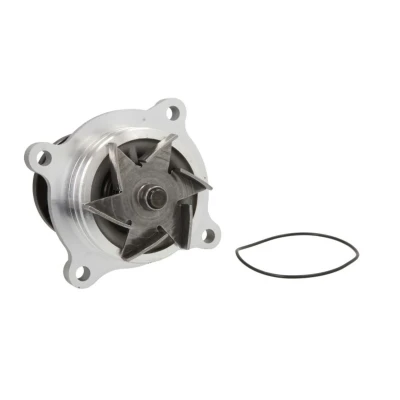 Abbildung von MAGNETI MARELLI 352316171312 Wasserpumpe LAND ROVER: Range Rover Sport, 3