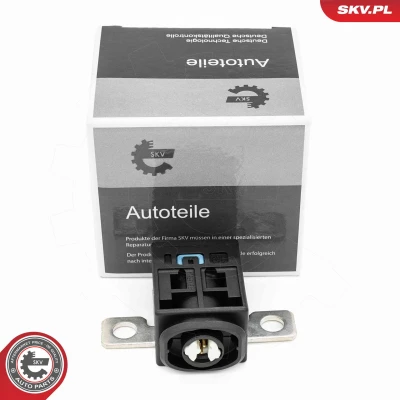 Abbildung von ESEN SKV 96SKV329 Sensor, Batteriemanagement