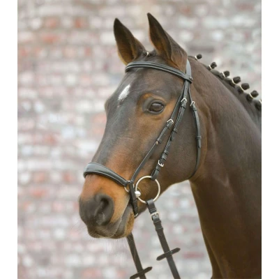 Abbildung von Star Trense Hannover Schwarz Shetland