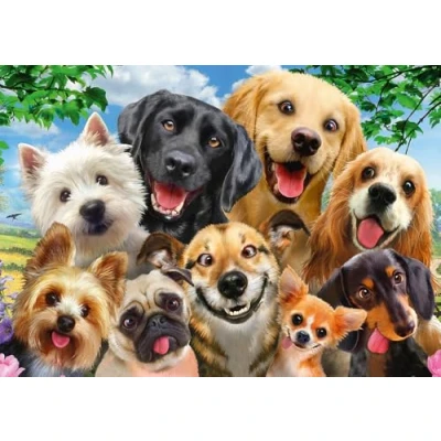 Abbildung von Schmidt Spiele Puzzle Hunde Selfie (Puzzle), 599 Puzzleteile